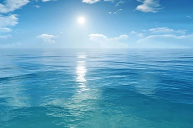 Sea Wallpapers   Crazy Frankenstein