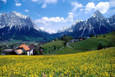 Spring Mountain Wallpapers   Crazy Frankenstein