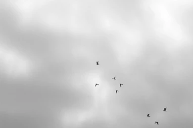 Plain White Wallpapers   Wallpapers HD Base