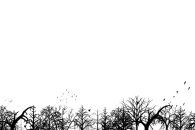 Black And White Colour Wallpapers Au   MF