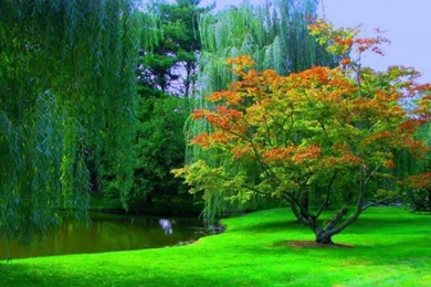 Best Widescreen Wallpapers