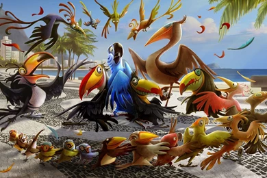 Beautiful Birds HD Wallpapers