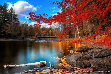 Best_desktop _wallpaper _hd_ latest.jpg