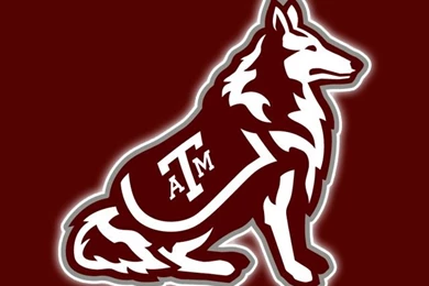 Free Texas A&M Aggies iPhone Wallpapers. Install In Seconds, 21 To ...