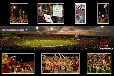 BleedCrimson.net 2008/2009 Desktop Wallpapers