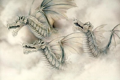 Natural Hairstyle: Wallpapers Of Dragons