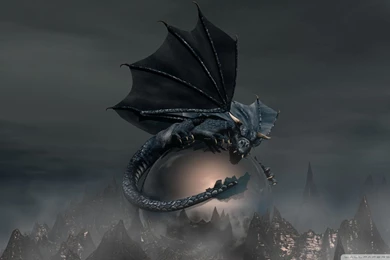 Dragon Wallpapers 1920X1080 1920X1080 Blac.