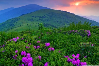Green Mountains HD Desktop Wallpapers : High Definition ...