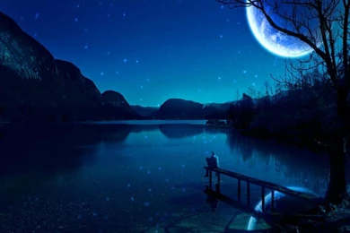 LONELY DREAMER WALLPAPER   (