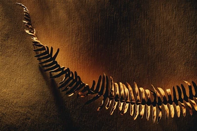 Minimalist, Photography, 1920x1200 HD Wallpapers And FREE Stock Photo