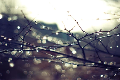 Water Drop Computer Wallpapers, Desktop Backgrounds