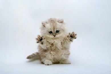 Cute Dreamer   Daydreaming Wallpapers (26906490)   Fanpop