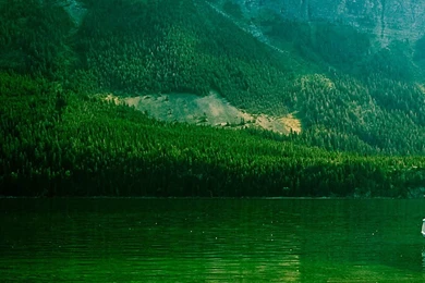 Little Chief Lake Green Mountain HD Wallpapers