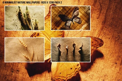 Minimalist Nature Wallpapers By DarknesFreak On DeviantArt