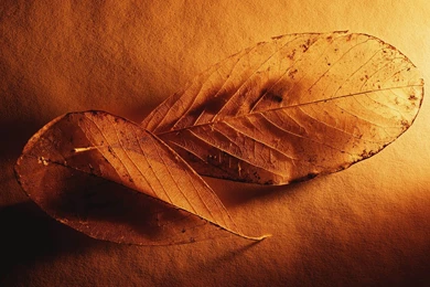 Photography Wallpapers — Free Full HD Wallpaper. Widescreen HQ ...