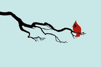 Simple And Minimalist