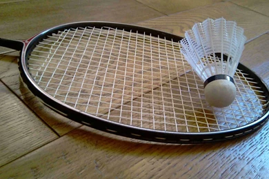 Badminton Physio Motion 1920x1200 Wallpapers, 1920x1200 Wallpapers ...