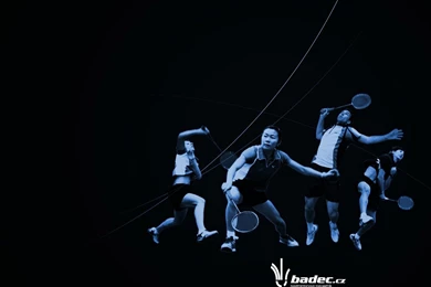 Badminton Lovers   Master Bulutangkis