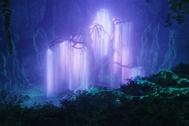 Tree Of Souls   Avatar Wallpapers (18906635)   Fanpop