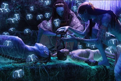 Avatar Computer Wallpapers, Desktop Backgrounds