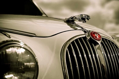 35+ Free Jaguar Wallpaper Images For Desktop Download