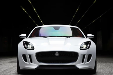 Jaguar Animal HD Wallpapers