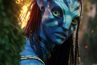 Avatar Movie HD Wallpapers Wide Screen   Wallpapers Hd 3D