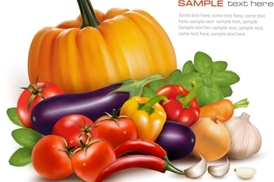 Set Of Vegetable Backgrounds Vector 01   Vector Backgrounds Free ...