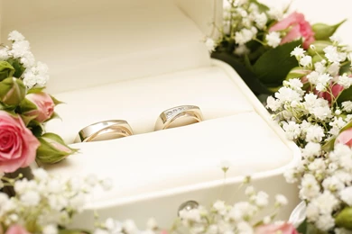 Wedding Rings   (