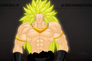 Super Saiyan Broly Wallpapers By Spartan1028 On DeviantArt