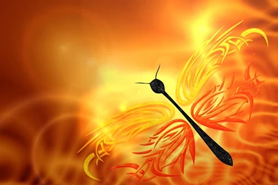 45 Stunning Butterfly Wallpapers Collection