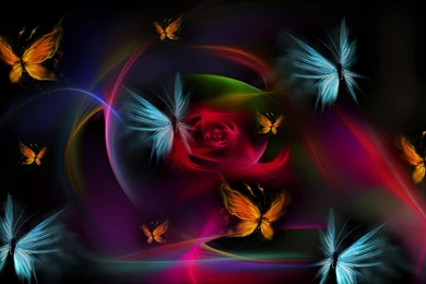 Free Wallpapers Butterflies   Wallpapers Cave