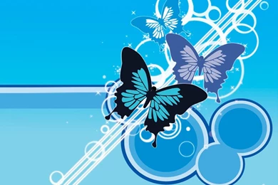 Most Beautiful Butterflies Wallpapers