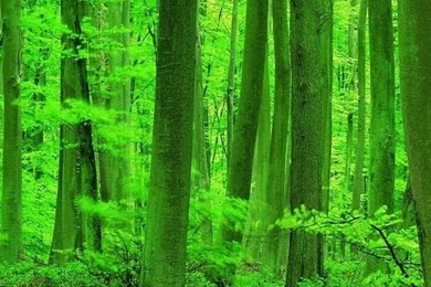 Awesome iphone wallpapers 5.jpg