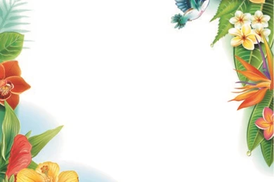 Beautiful Flowers And Butterflies Vector Backgrounds 04   Vector ...