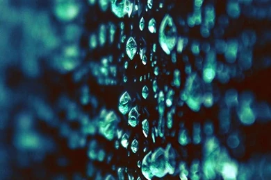 Wet Screen Wallpapers