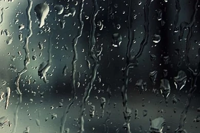 LG L90 Wallpapers: Wet Android Screen Android Wallpapers