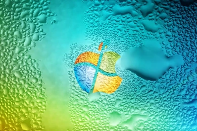 High Definition & High Resolution HD Wallpapers