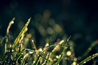 2560 X 1600 Wallpapers   Page 9