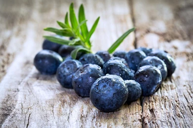 Blueberries HD Wallpapers