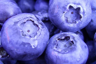 Blueberries 31505 1920x1080.jpg