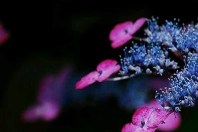 Free good night hd wallpapers mobile goodnight fxutw.png