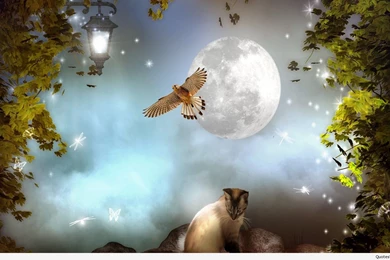 Good night painting poster wide wishes wallpaper.jpg