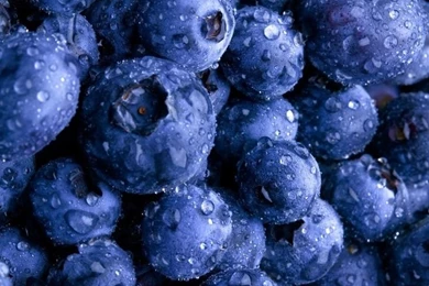 Phone Wallpapers Blueberries,