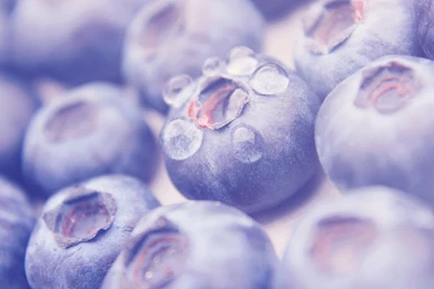 Blueberry Fruit Macro Warm Water Drops Purple Wallpapers ...