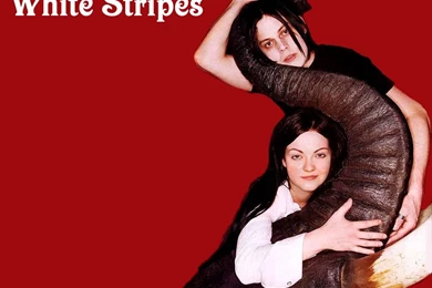 Экранные заставки   Wallpapers