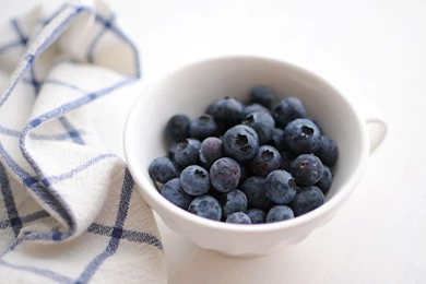 Blueberry Computer Wallpapers, Desktop Backgrounds