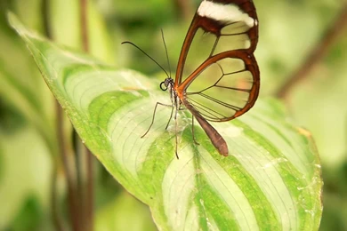 Best Wallpapers Site 10797 HD Wallpapers