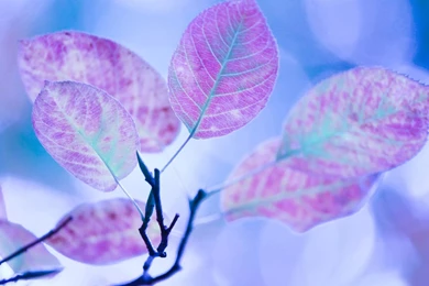 Ios 8 Backgrounds PC   Wallpapers