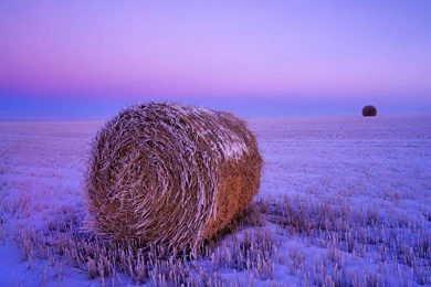 Nature Wallpapers   Newest Wallpapers